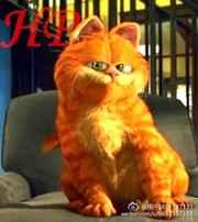加菲猫动画片免费观看