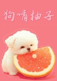 狗狗吃柚子会怎么样
