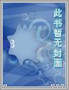 宠不停.epub